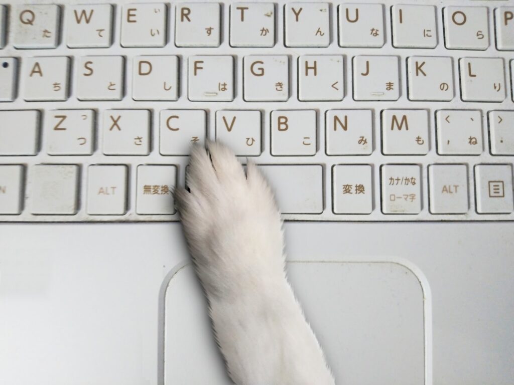 キーボードに手を置く動物