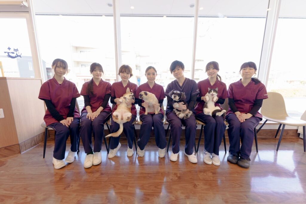 庄内通どうぶつ病院スタッフ