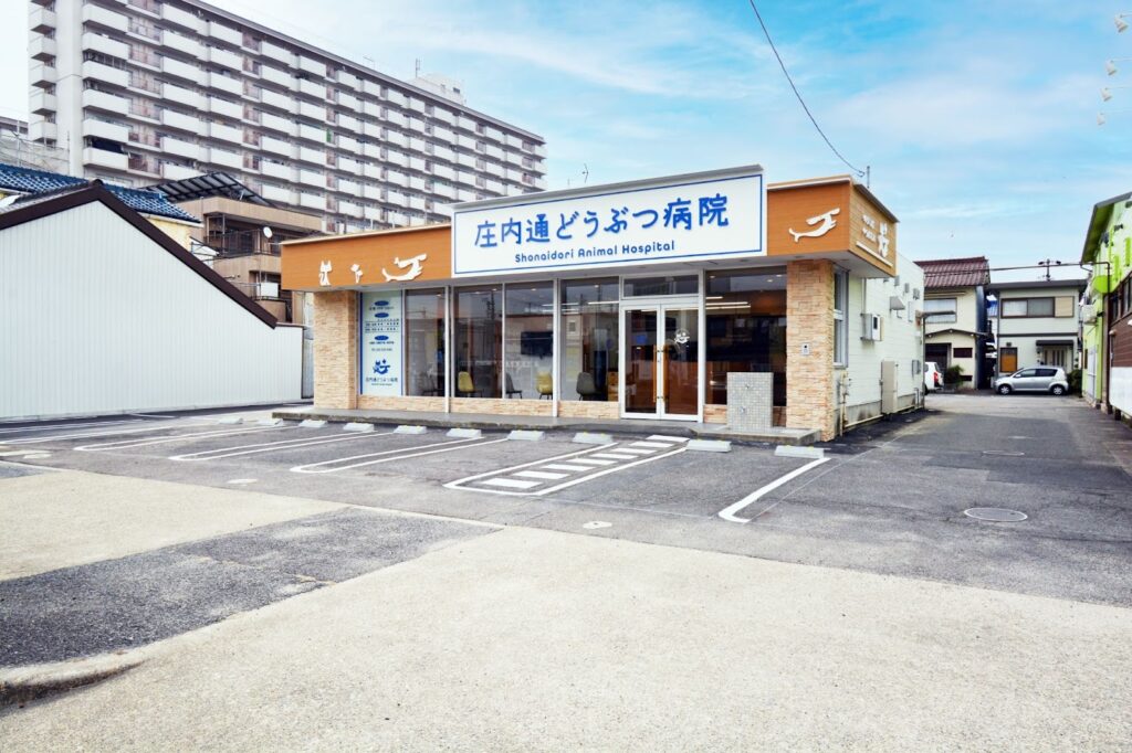 庄内通どうぶつ病院外観