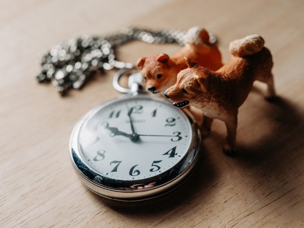 懐中時計と犬の置き物