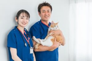 猫を抱く動物病院スタッフ