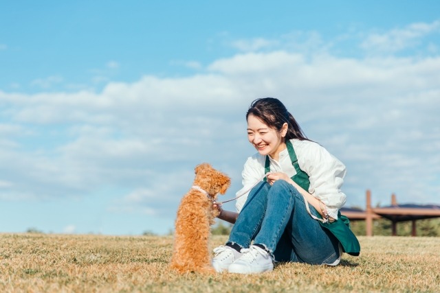 犬を散歩させるスタッフ